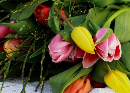 livraison de fleurs