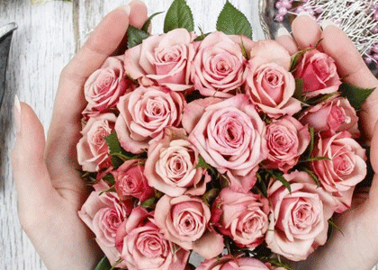 fleuriste