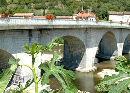 saveurs du Sud de la France
