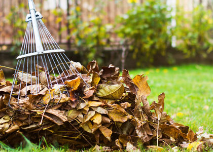 Jardin en automne