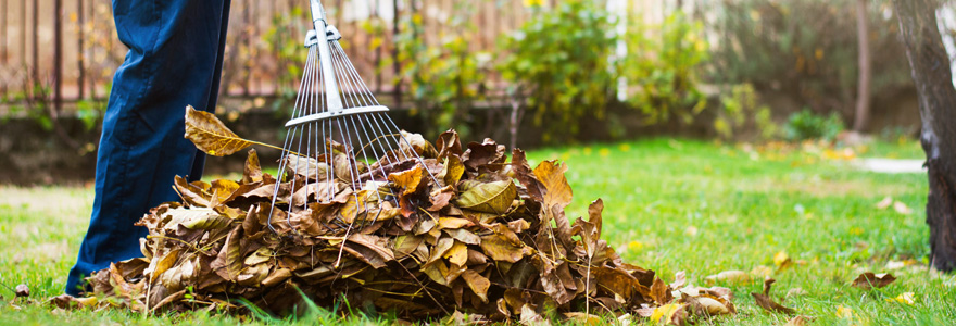 Jardin en automne